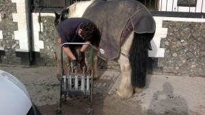 Doug Shoeing Storm at the Chestnuts